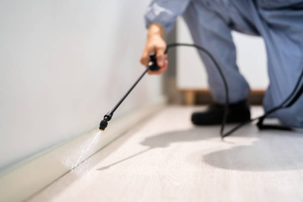 Licensed Rodent Control service in Friendship Heights Village, MD - Nex Pest Control