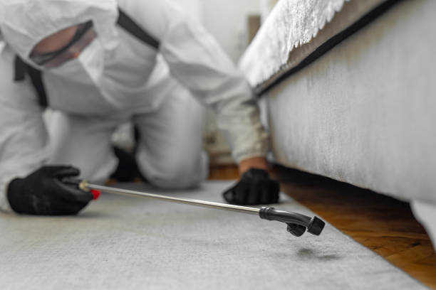 Professional Rodent Control technician working in Friendship Heights Village, MD