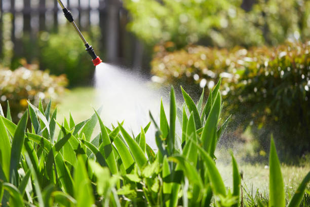 24/7 Emergency Rodent Control experts in Friendship Heights Village, MD