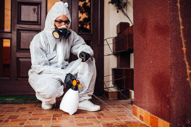 Reliable Rodent Control contractor in Friendship Heights Village, MD by Nex Pest Control