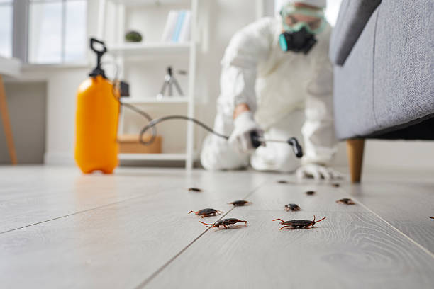 Trusted Rodent Control service in Friendship Heights Village, MD - Nex Pest Control
