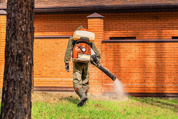 Trusted Fumigation Services service in Friendship Heights Village, MD - Nex Pest Control